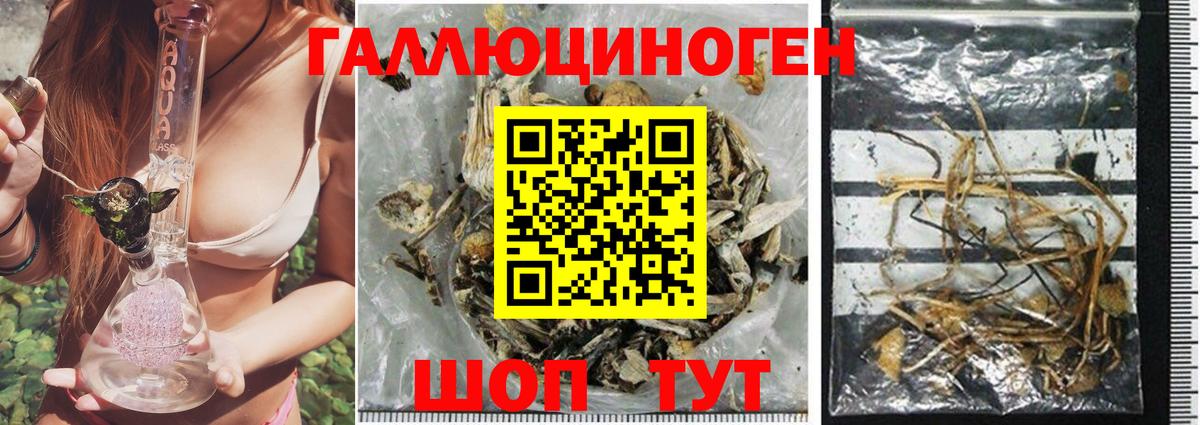 Анжеро-Судженск  Псилоцибиновые грибы Magic Shrooms  Вход с VPN 