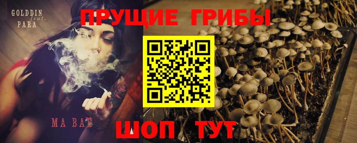 Псилоцибиновые грибы MAGIC MUSHROOMS Анжеро-Судженск
